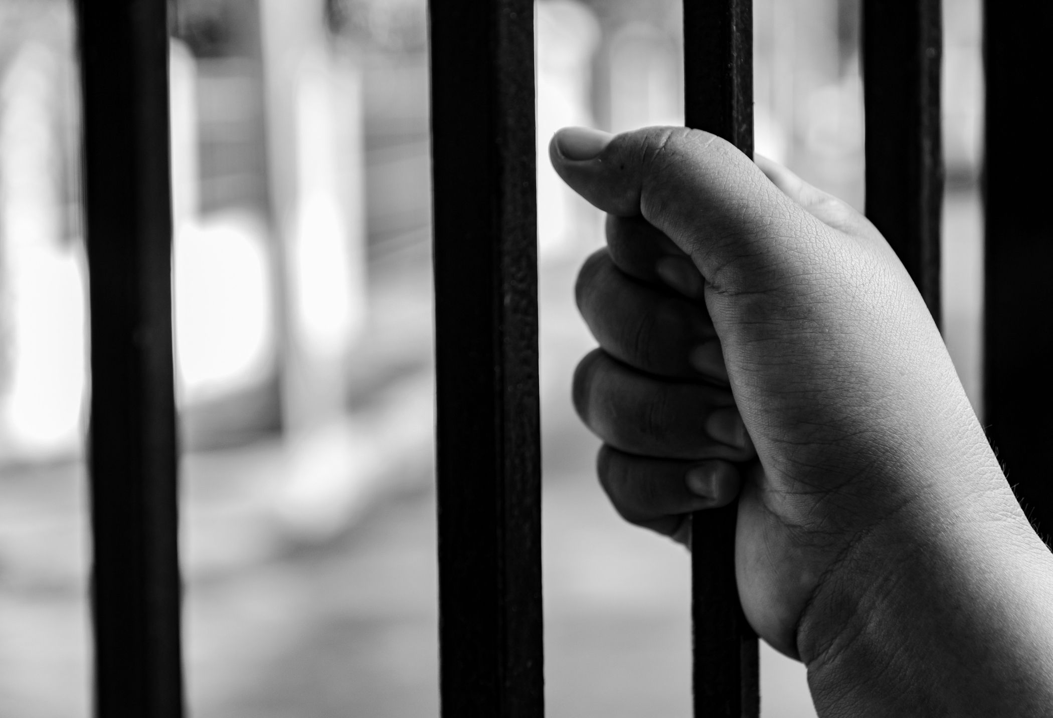  featured image101 - Chieppor & Egner